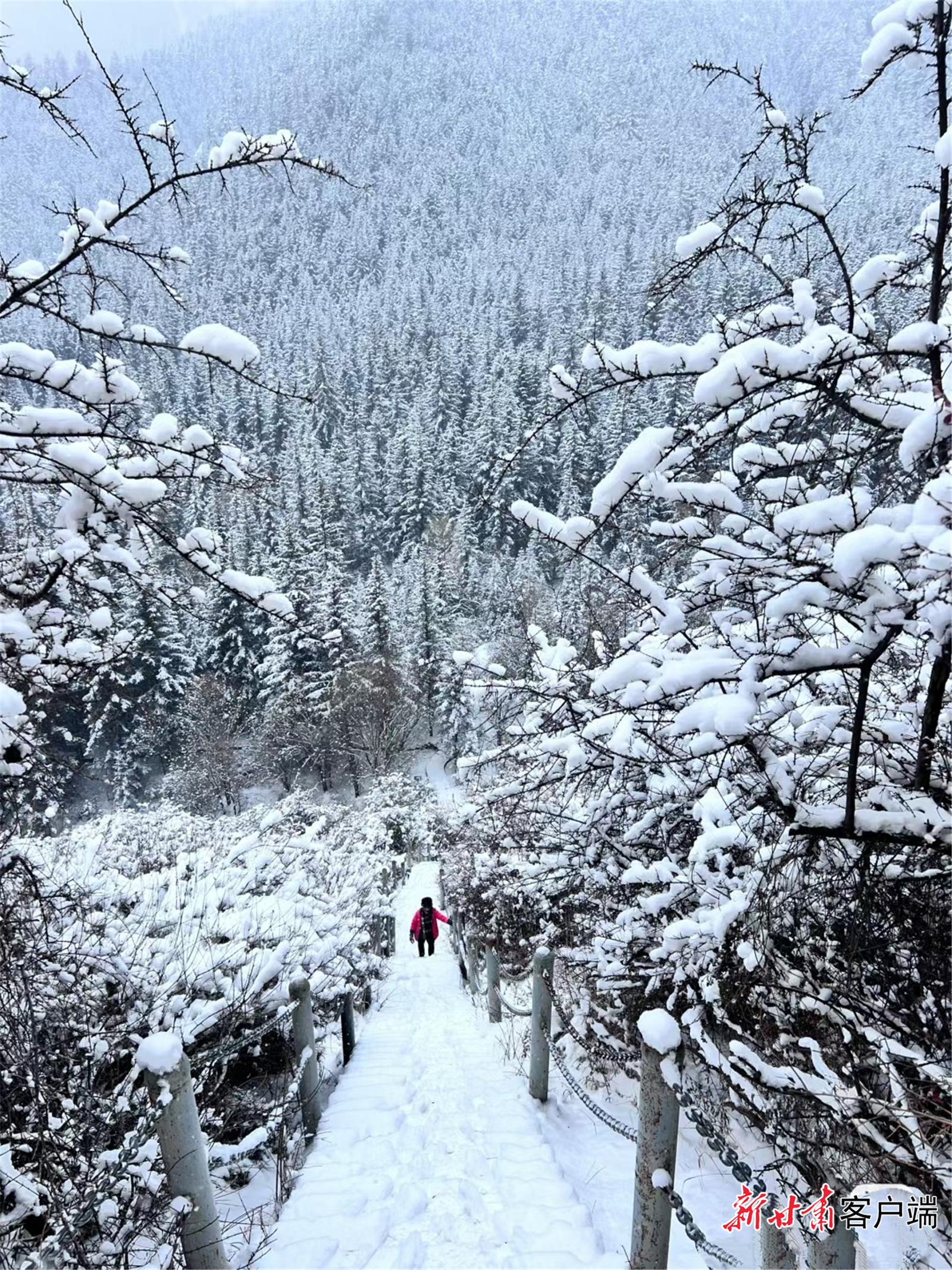 区出现小雨小雪或雨夹雪,其中定西市中部出现大雪,庆阳市南部出现中雨